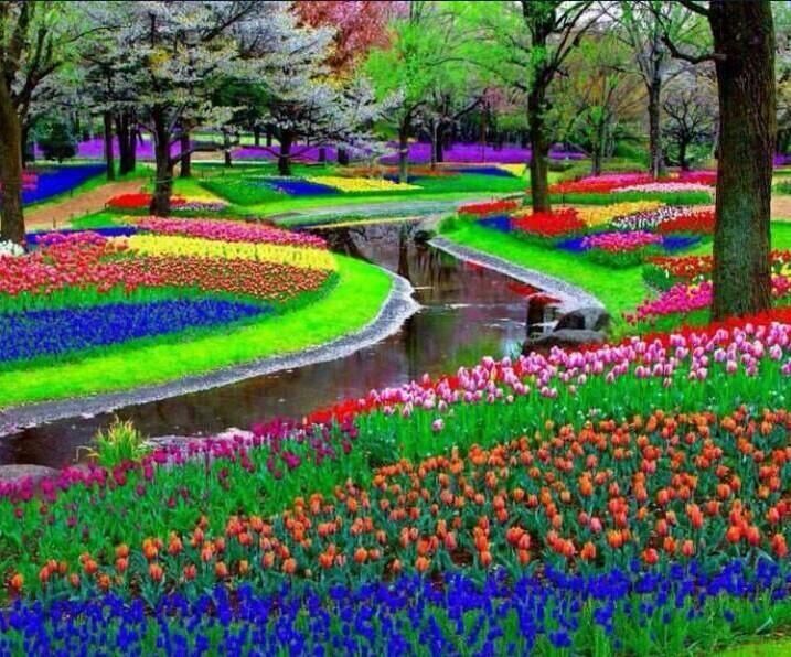 gardin